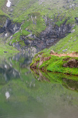 Mountain Lake with transparent water 