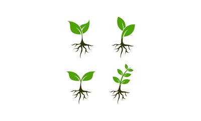 Plant set template vector