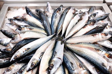 fishes for sale in the box