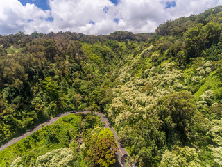 Aerial view of the road to Hana