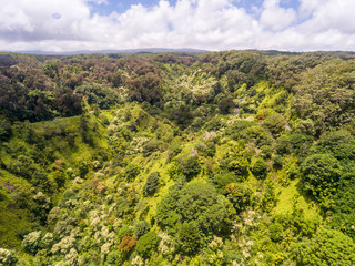 Obraz premium Aerial view of the road to Hana