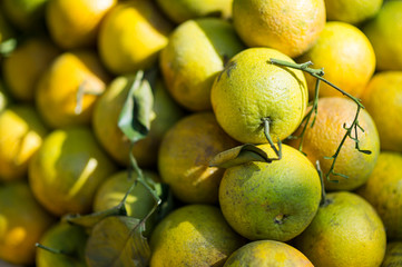 Stack of freshly harvested oranges in soft sunlight at a tropical fruit farmers market 