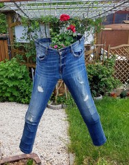 Jeans as funny flower pot