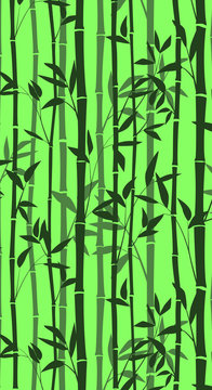 Bamboo forest for background EPS 10 © Crisp