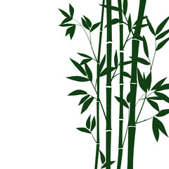 Bamboo forest for background EPS 10