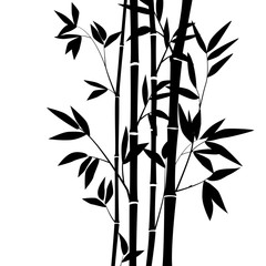 Bamboo forest for background EPS 10