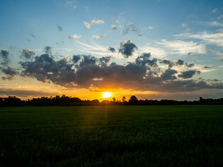 landscape of suset with Green fields