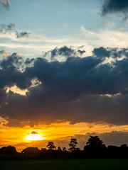 landscape of suset with Green fields