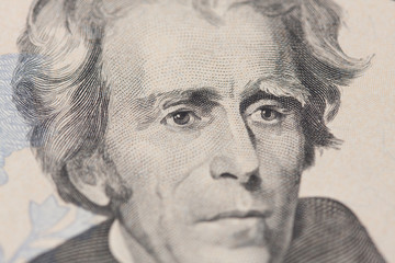 Twenty dollar bill. 20 dollar bill. Banknotes placed in order, the face of President Jackson of the...