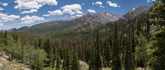 Emerald Lake Trail Panoramic