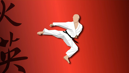 Fototapeta na wymiar Karate Man Kick