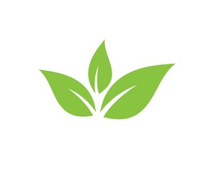 Logos of green leaf ecology nature element vector