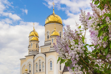 Fototapeta na wymiar Golden domes of the church and bush of lilac