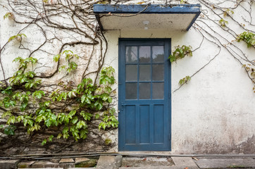 door with white wall and blue ivy
