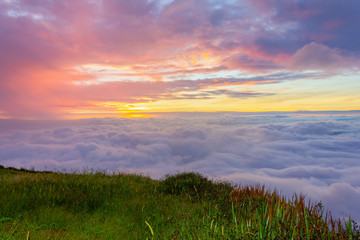 Morning mist at Phu Tubberk, Thailand
