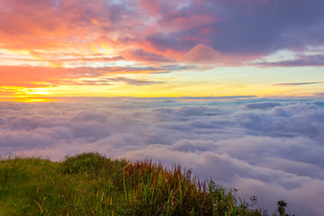 Fototapeta premium Morning mist at Phu Tubberk, Thailand
