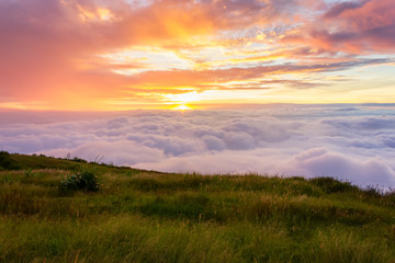 Obraz premium Morning mist at Phu Tubberk, Thailand