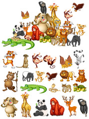 Many animals on white background