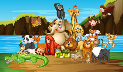 Many animals by the river