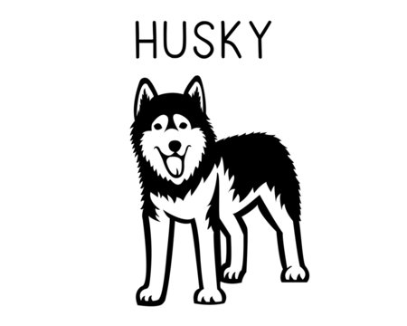 Husky vector illustration in black and white 