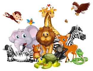 Cute animals on white background
