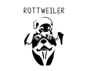 Rottweiler vector illustration in black and white. Design comes in transparent background 