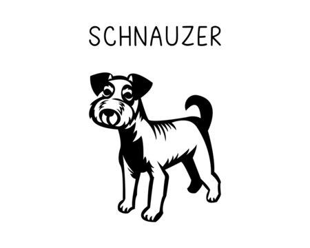 Schnauzer vector illustration in black and white  