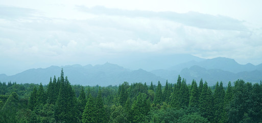 landscape of mountains and forest trees