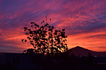 atardecer
