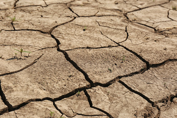 View of cracked ground surface on sunny day