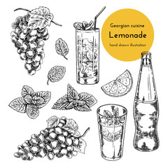 Set of  lemonade illustrations. sketch of lemonade. hand drawn illustration of Georgian lemonade - obrazy, fototapety, plakaty