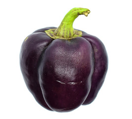 Purple bell pepper isolated on a white background. Side view