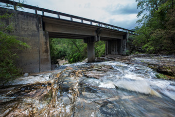 bridge in the forest