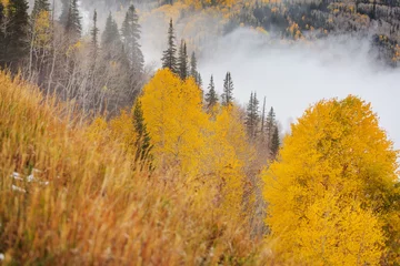  Autumn mountains © Galyna Andrushko