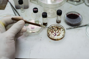 Lice tick treatment center