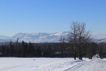 Magical winter landscape in foothills of Beskydy in czech republic, center of Europe. In front of image is frost forest road and background top of mountains with clear blue sky
