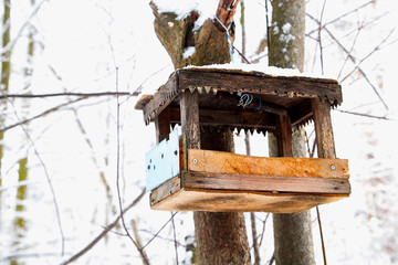 Beautiful feeder for bird in winter forest
