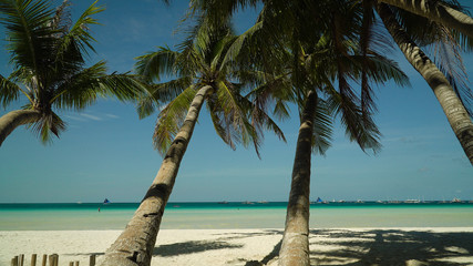 Fototapeta na wymiar Travel concept: Palm trees on a sandy beach and turquoise sea water. Summer and travel vacation concept. Boracay, Philippines