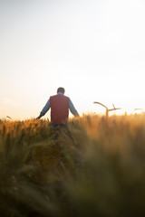 Male hand moving over wheat growing on the field. Field of ripe grain and man's hand touching wheat in summer field. Man walking through wheat field, touching wheat spikes at sunset