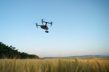 Fototapeta na wymiar Quadcopter with camera flying over field. Photography quadcopter drone hovering over young green sprouts of wheat plants in a field. Smart agriculture concept