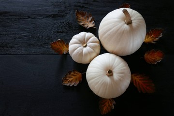 Autumn pumpkin. White pumpkins set and brown autumn leaves on a black wooden background.