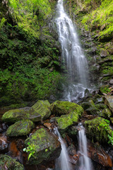 Fototapeta na wymiar Waterfall of Belaustegi beech forest, Gorbea Natural Park, Vizcaya, Spain