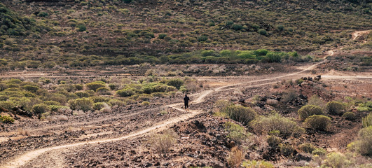 Naklejka premium Active people. outdoor -a runner in the desert for a trail or training - healhty lifestyle in the nature