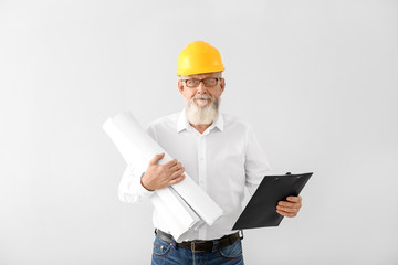 Mature male architect on white background