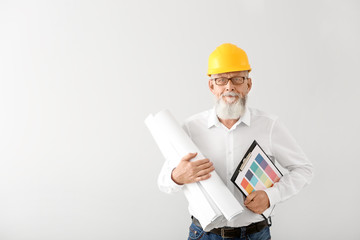 Mature male architect on white background