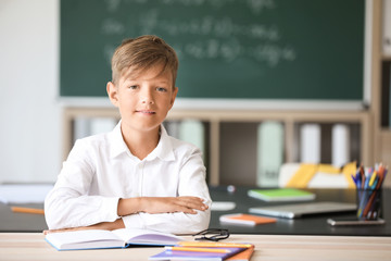 Cute little pupil during lesson in classroom