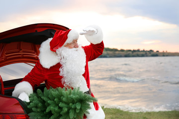 Santa Claus with fir tree in car trunk looking far away on riverside