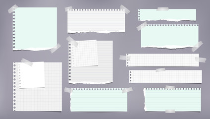 Set of torn white and green note, notebook strips, lined and squared paper pieces stuck with sticky tape on grey background. Vector illustration