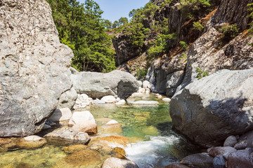 Corte Restonica valley, Corsica island. France