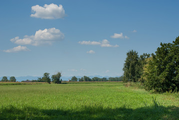 paesaggio di campagna in estate